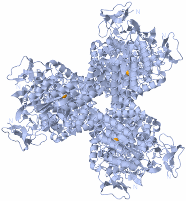 Image Biological Unit 1