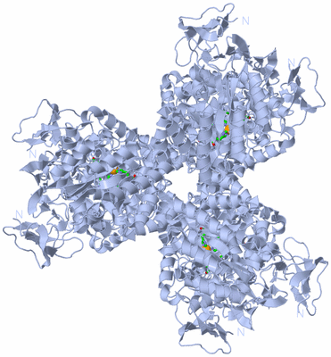 Image Biol. Unit 1 - sites