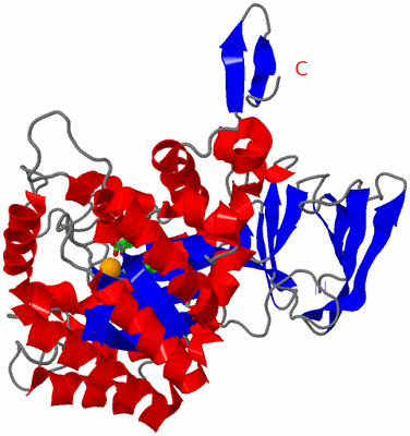 Image Asym. Unit - sites