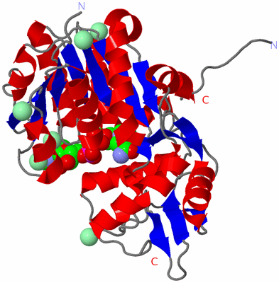 Image Asym./Biol. Unit