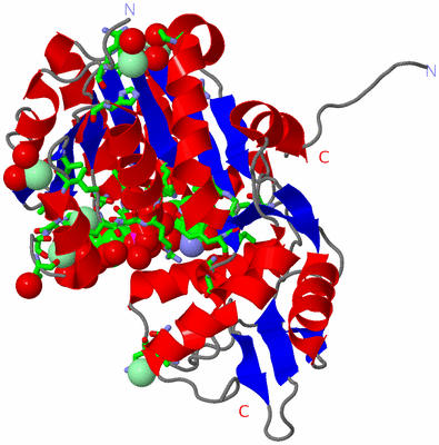 Image Asym./Biol. Unit - sites