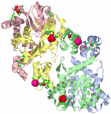 Image Biol. Unit 1 - sites