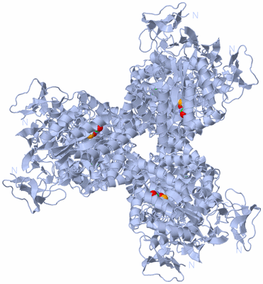 Image Biological Unit 1