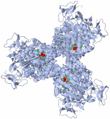 Image Biol. Unit 1 - sites