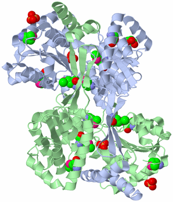 Image Asym./Biol. Unit