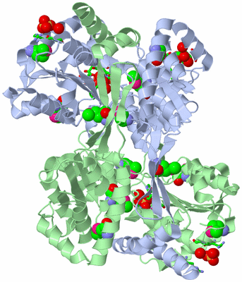 Image Asym./Biol. Unit - sites