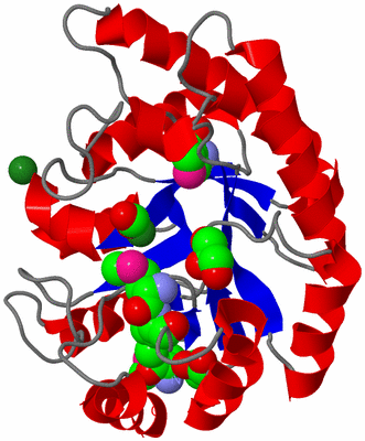 Image Asym./Biol. Unit
