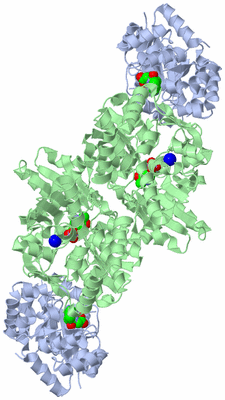 Image Biological Unit 1