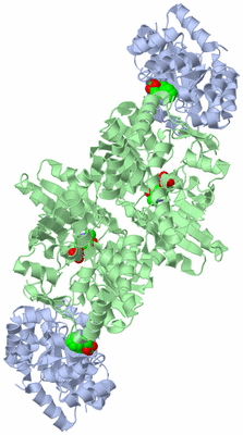 Image Biological Unit 1