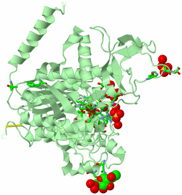 Image Biol. Unit 1 - sites