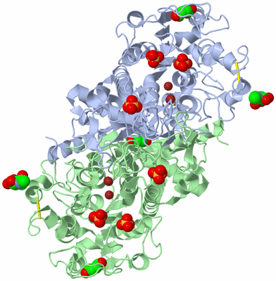 Image Biological Unit 2