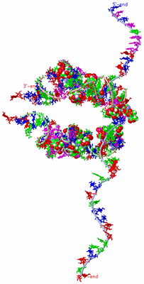 Image Theoretical Model