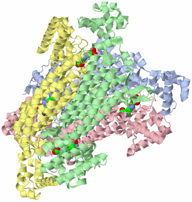 Image Asym./Biol. Unit