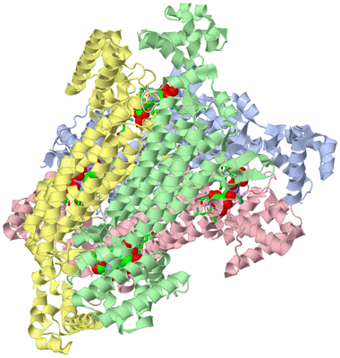 Image Asym./Biol. Unit - sites