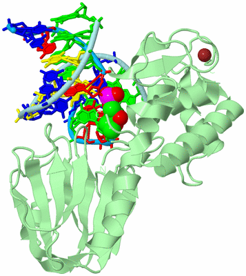 Image Biological Unit 2