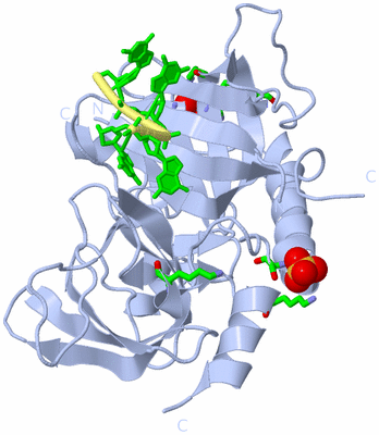 Image Biol. Unit 1 - sites