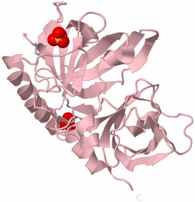 Image Biological Unit 3