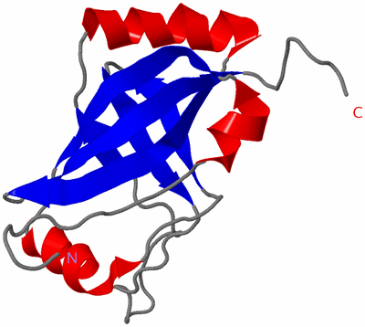 Image NMR Structure - model 1