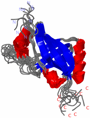 Image NMR Structure - all models