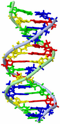 Image NMR Structure - model 1