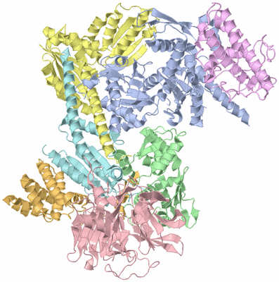 Image Asym./Biol. Unit