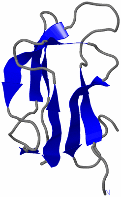 Image NMR Structure - model 1