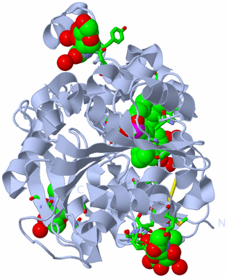 Image Biol. Unit 1 - sites