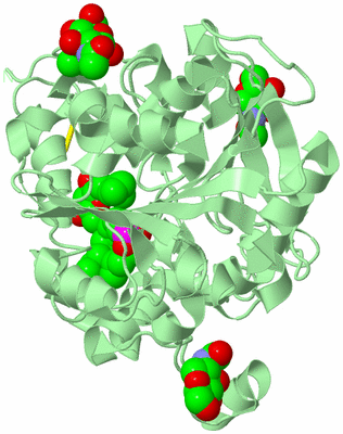 Image Biological Unit 2