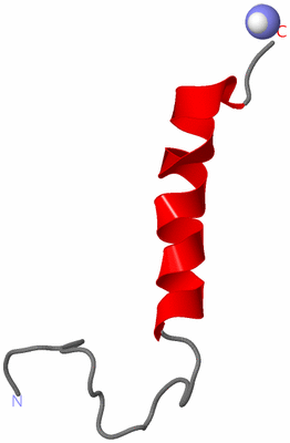 Image NMR Structure - model 1