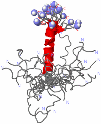 Image NMR Structure - all models