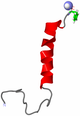 Image NMR Structure - model 1, sites