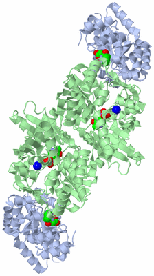 Image Biological Unit 1