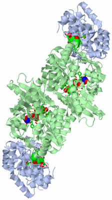 Image Biol. Unit 1 - sites