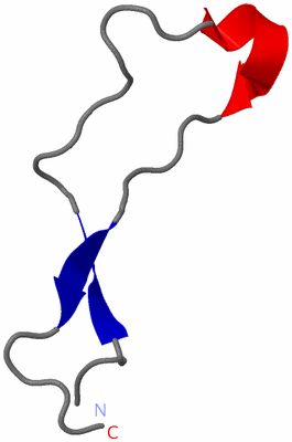 Image NMR Structure - model 1