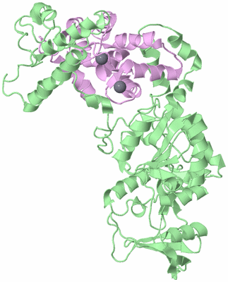 Image Biological Unit 2