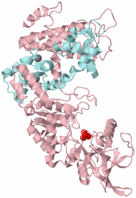 Image Biological Unit 3