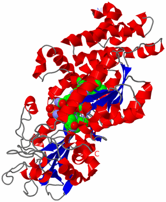Image Asym./Biol. Unit