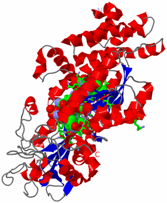 Image Asym./Biol. Unit - sites