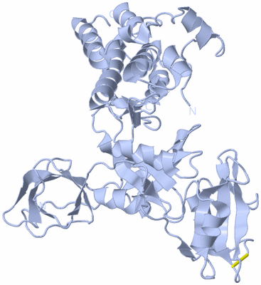 Image Biological Unit 1