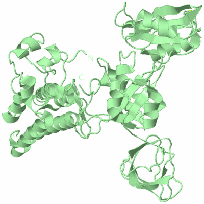 Image Biological Unit 2