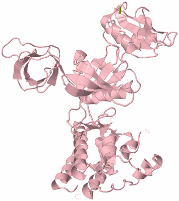 Image Biological Unit 3