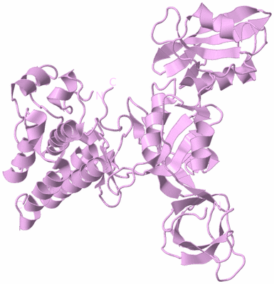 Image Biological Unit 5