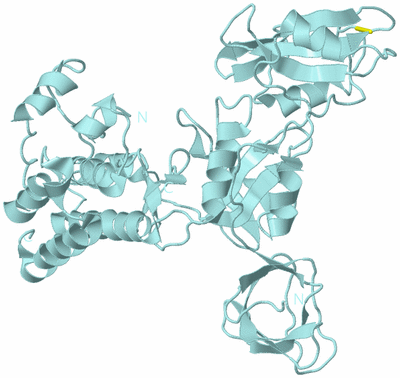 Image Biological Unit 6