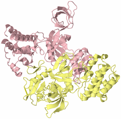 Image Biological Unit 7