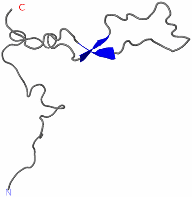 Image NMR Structure - model 1