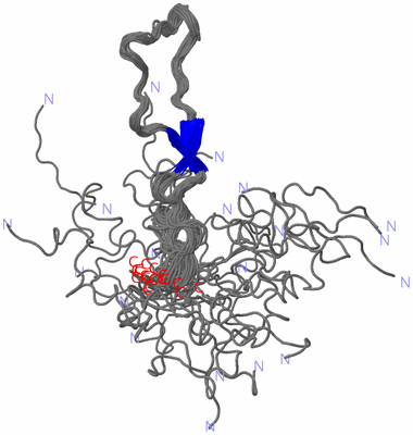 Image NMR Structure - all models