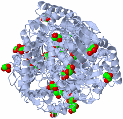 Image Biological Unit 1