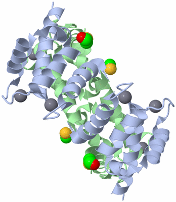 Image Biological Unit 2