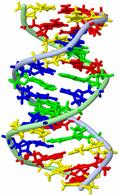 Image NMR Structure - model 1