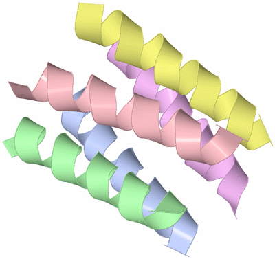 Image Theoretical Model